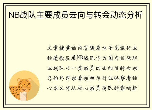 NB战队主要成员去向与转会动态分析