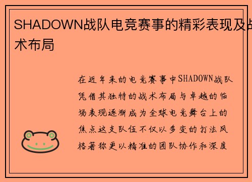 SHADOWN战队电竞赛事的精彩表现及战术布局